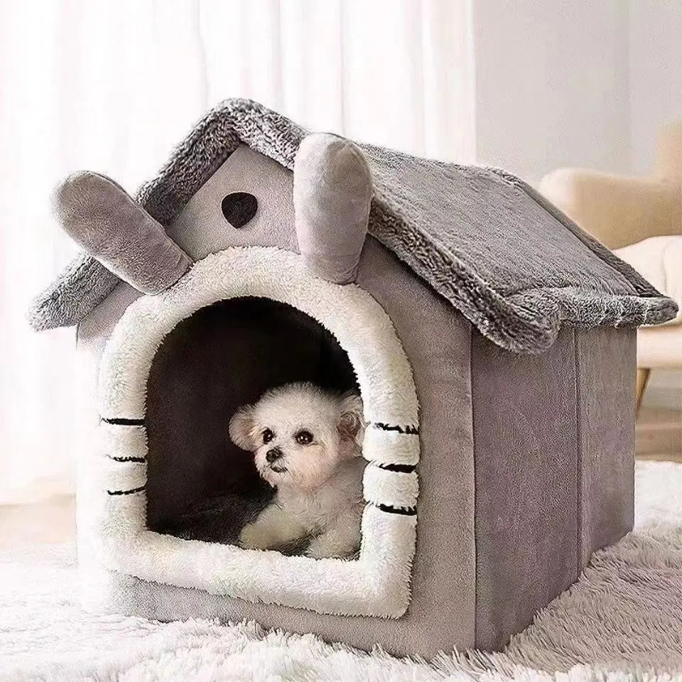 Pet Accesories