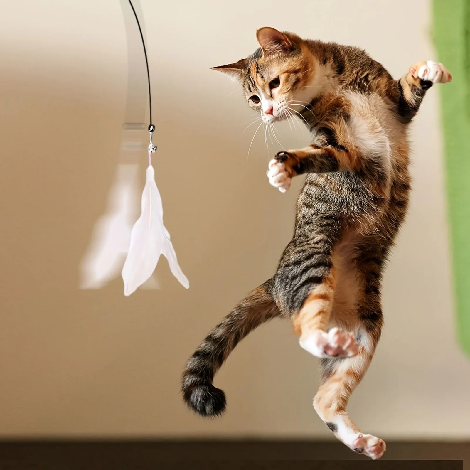 Cat Toys