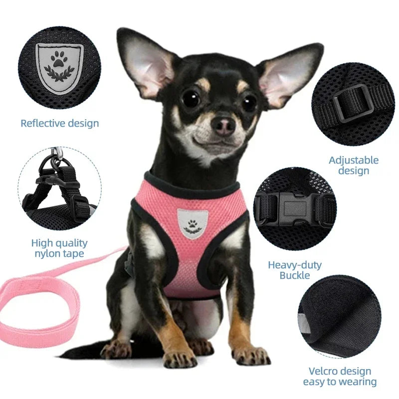 Pawfection Cat Harness
