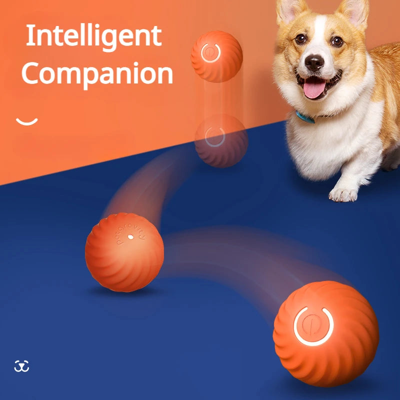 Pawfection Electric Toy Ball