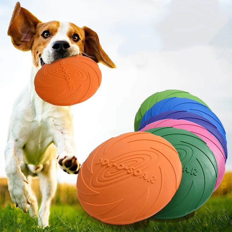 Pawfection Silicone Saucer