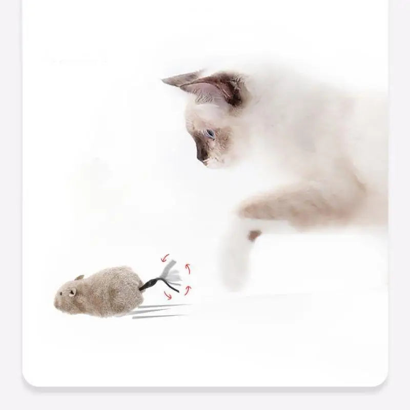Pawfection Plush Mouse Toy
