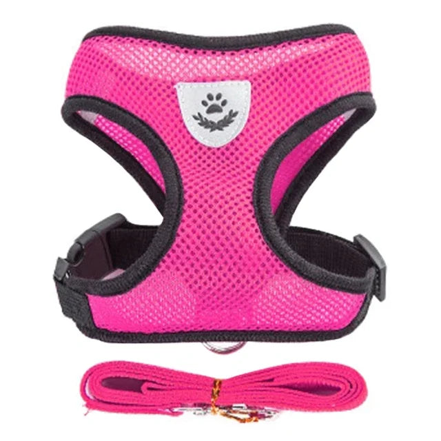 Pawfection Cat Harness