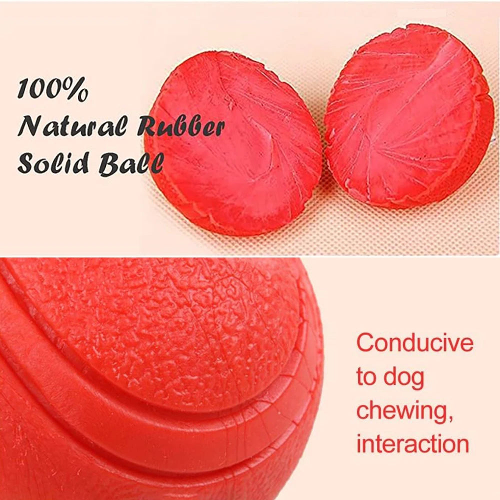 Pawfection Outdoor Mini Ball