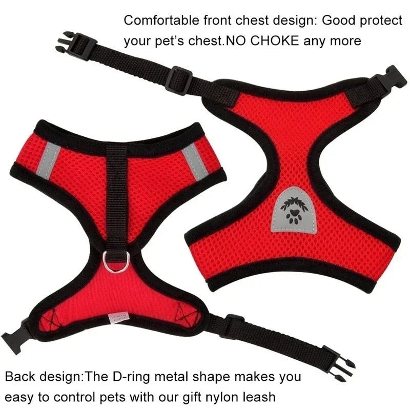 Pawfection Cat Harness