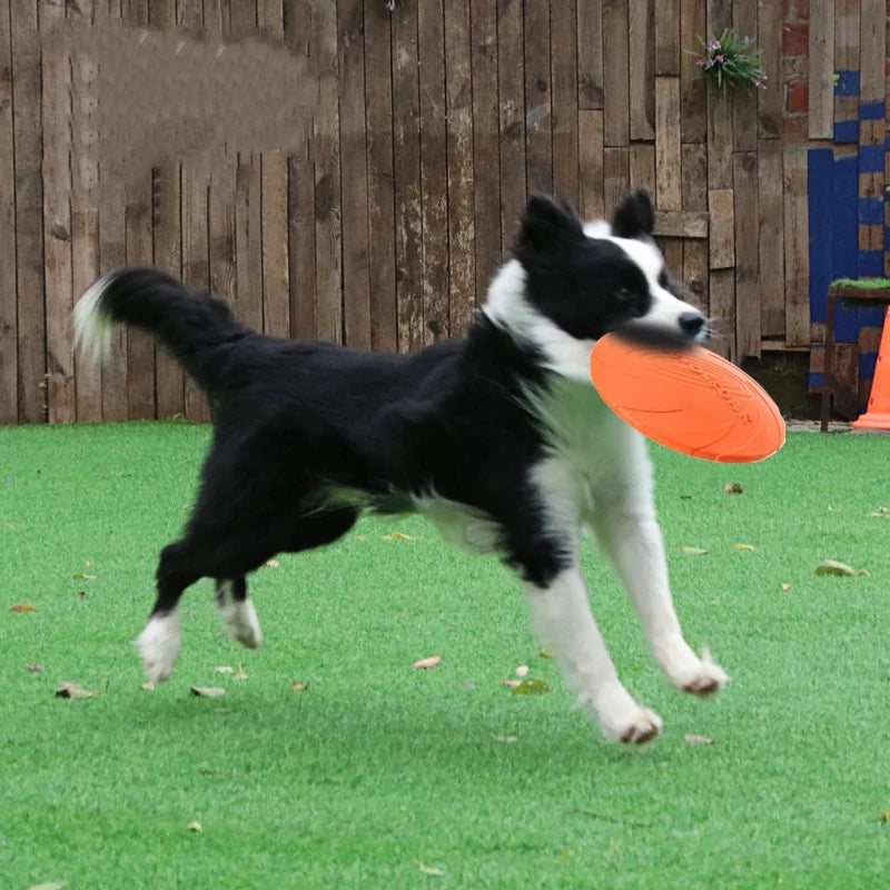 Pawfection Silicone Saucer