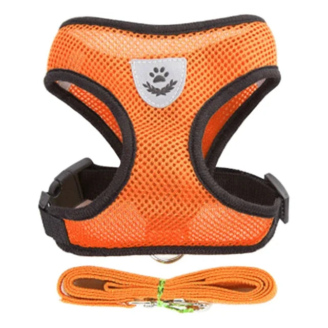 Pawfection Cat Harness