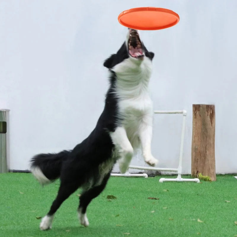 Pawfection Silicone Saucer