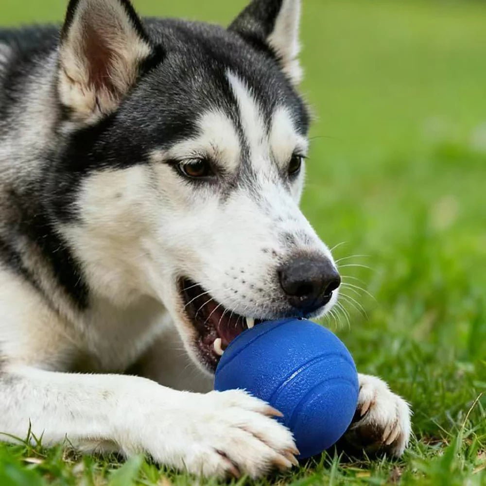 Pawfection Outdoor Mini Ball