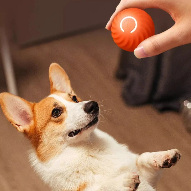 Pawfection Electric Toy Ball