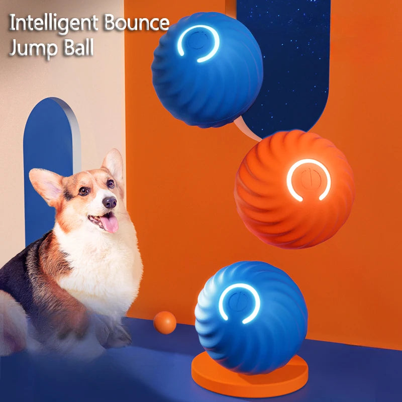 Pawfection Electric Toy Ball
