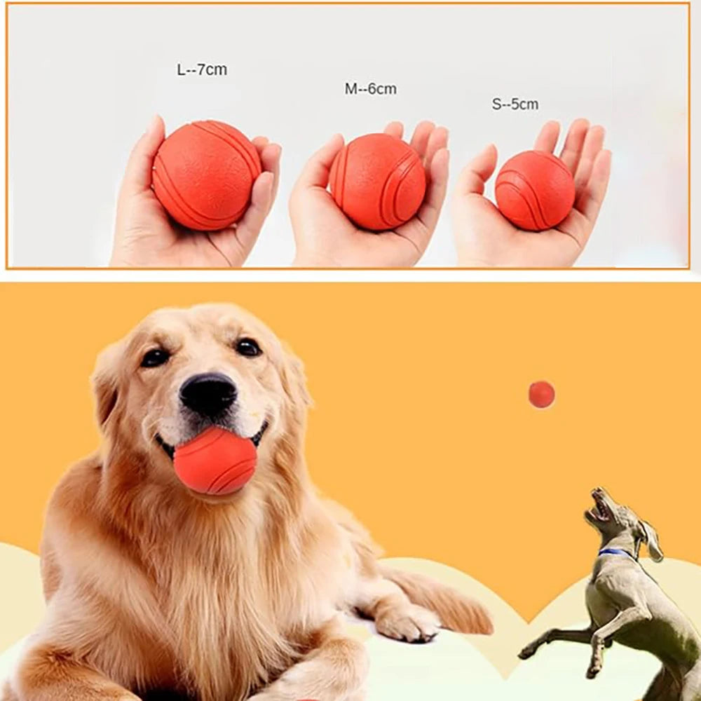 Pawfection Outdoor Mini Ball