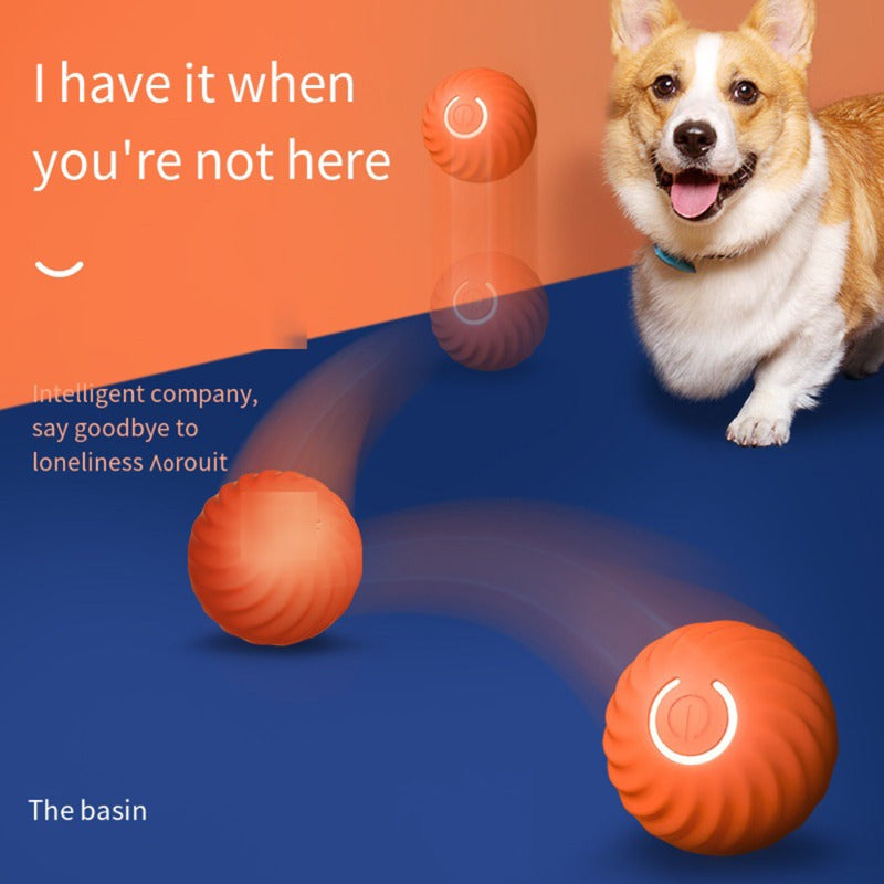 Pawfection Electric Toy Ball
