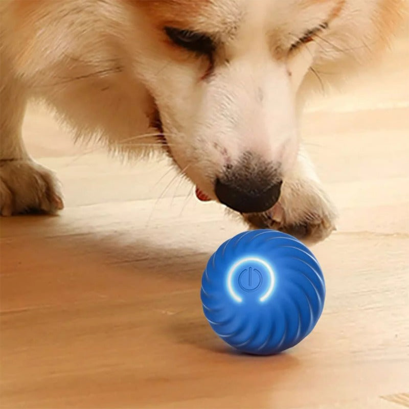Pawfection Electric Toy Ball