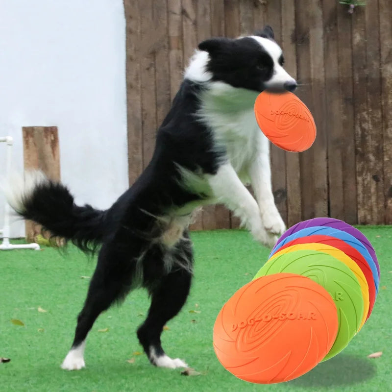 Pawfection Silicone Saucer