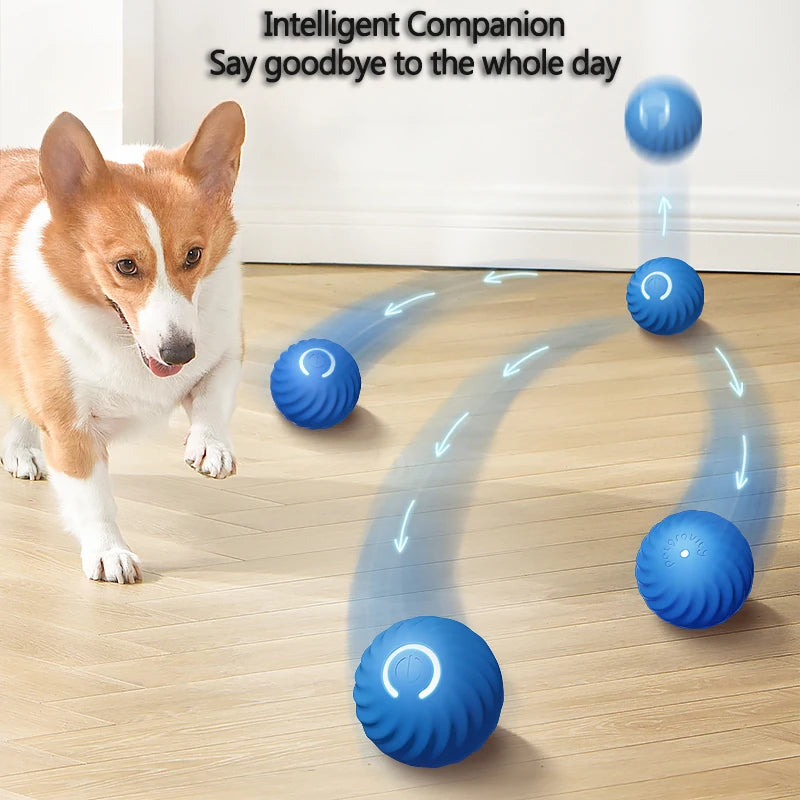 Pawfection Electric Toy Ball