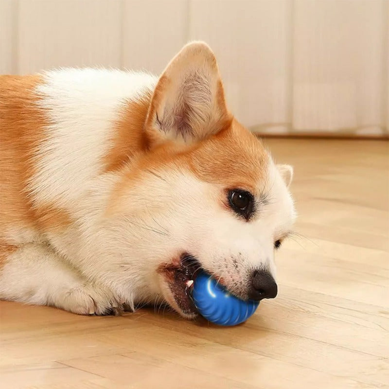 Pawfection Electric Toy Ball