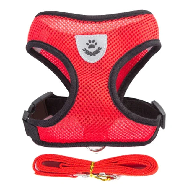 Pawfection Cat Harness