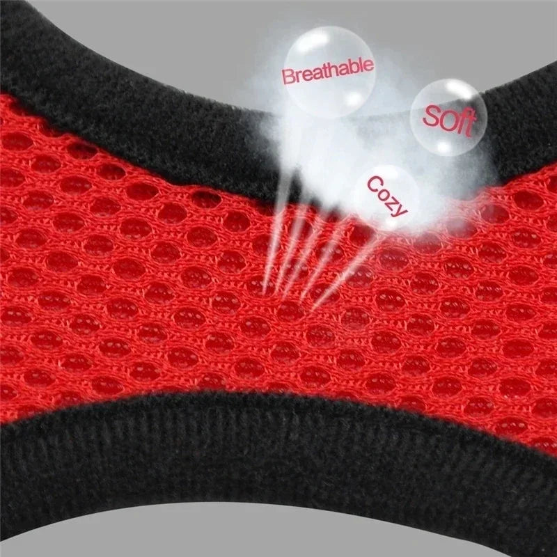 Pawfection Cat Harness