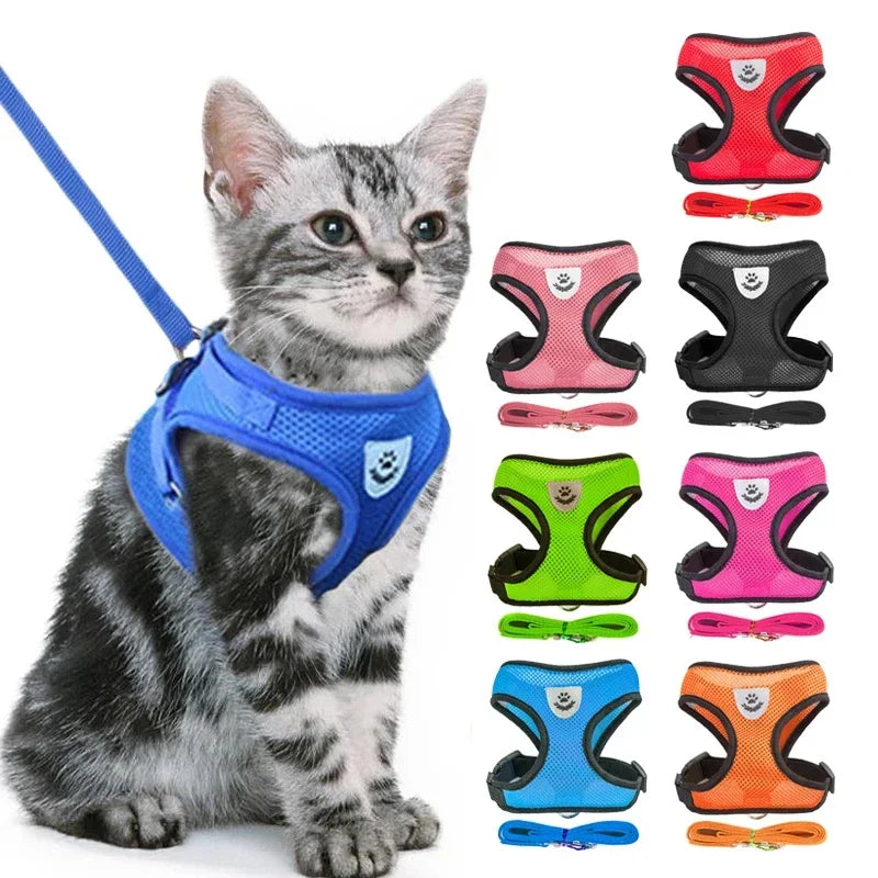 Pawfection Cat Harness