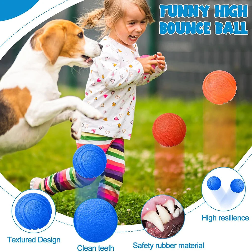 Pawfection Outdoor Mini Ball