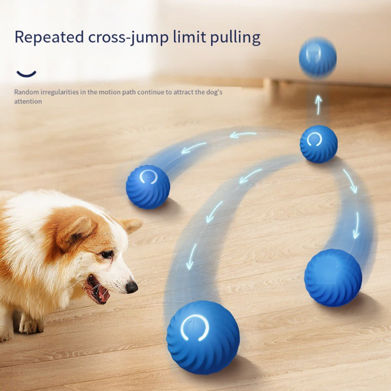 Pawfection Electric Toy Ball