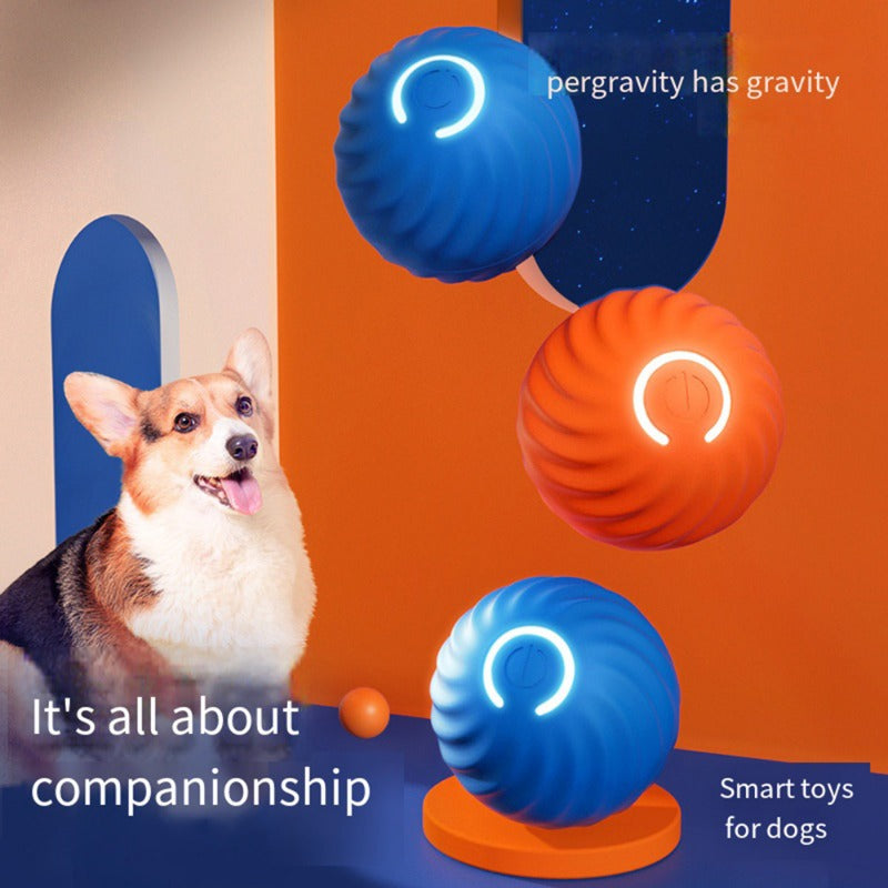 Pawfection Electric Toy Ball