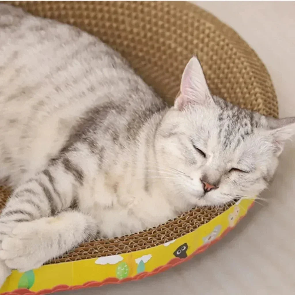 Pawfection Cat Scratching Board