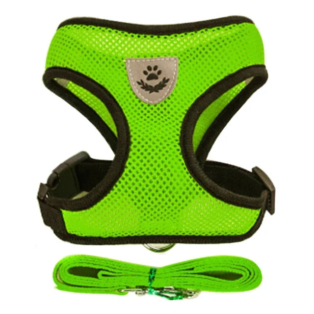 Pawfection Cat Harness