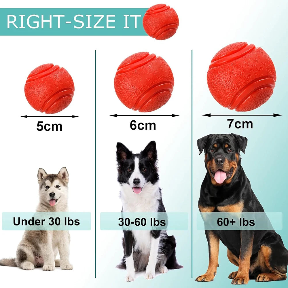 Pawfection Outdoor Mini Ball
