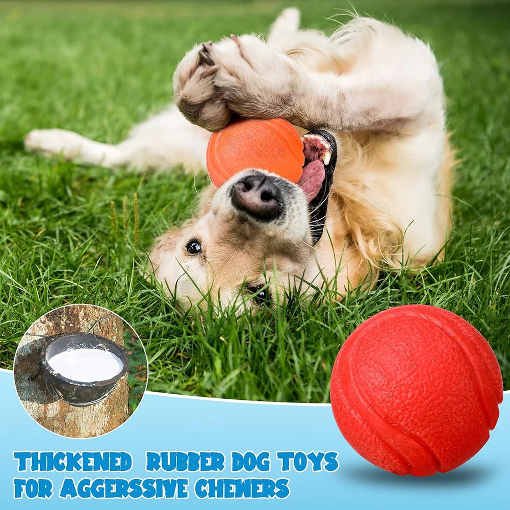 Pawfection Outdoor Mini Ball