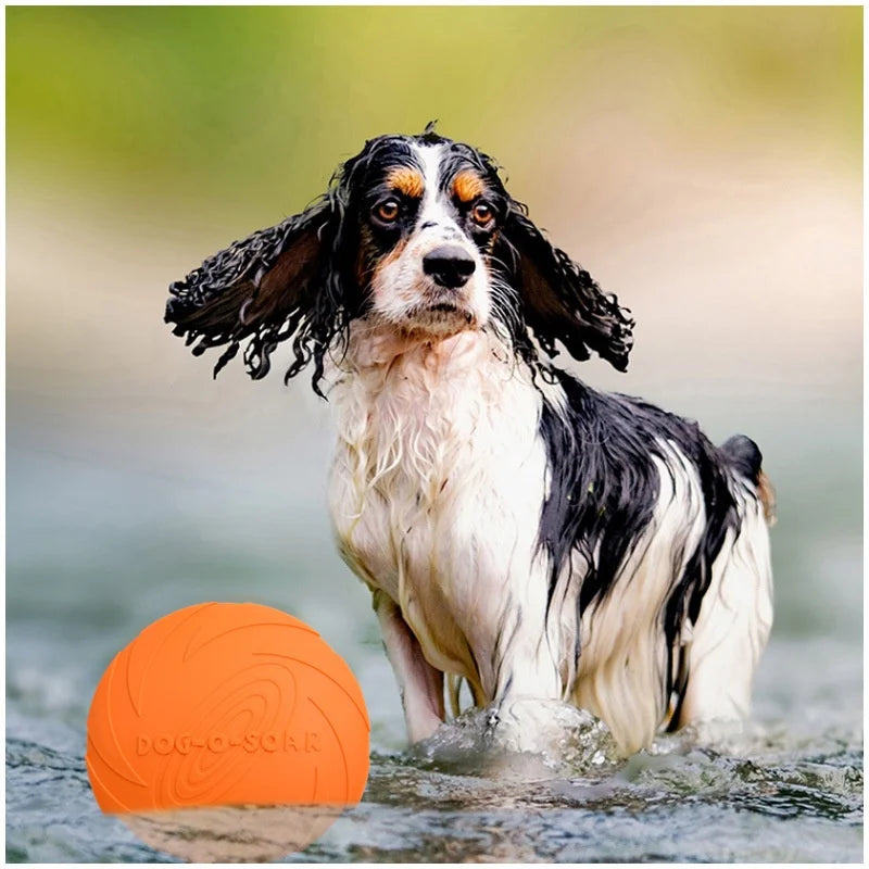 Pawfection Silicone Saucer