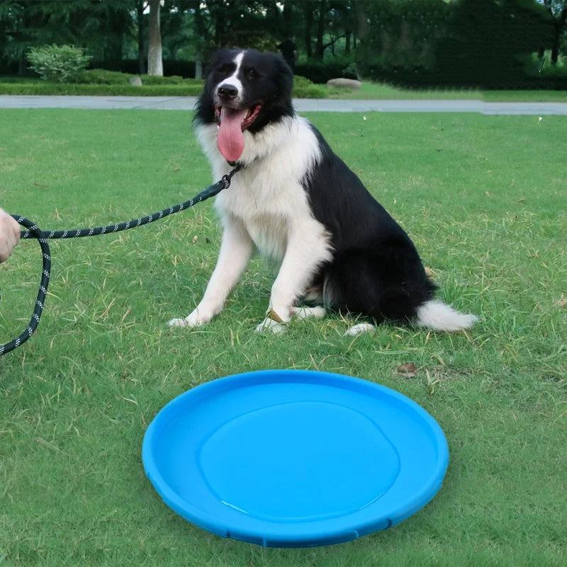 Pawfection Silicone Saucer