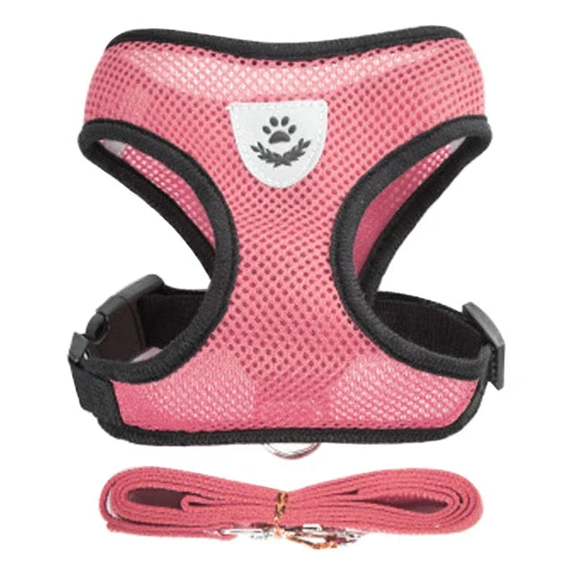 Pawfection Cat Harness