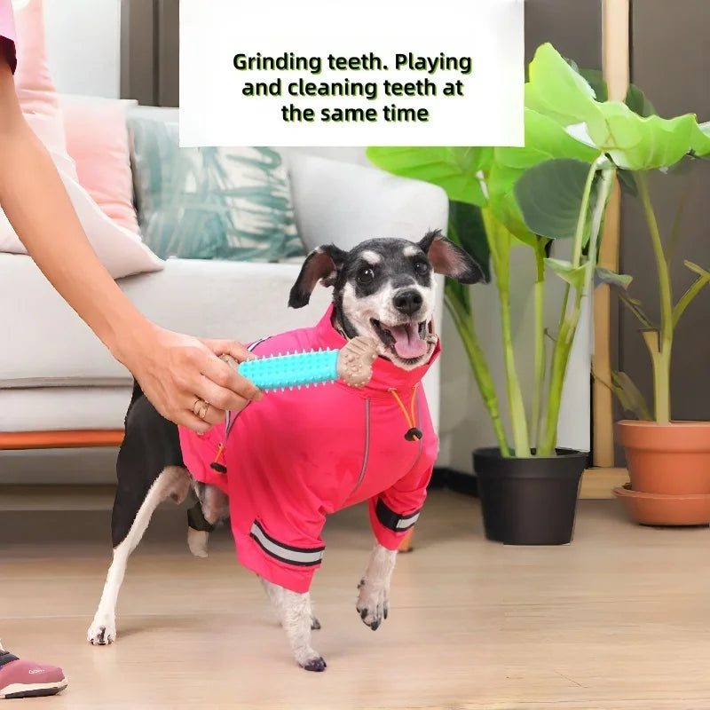 Pawfection Dog Chewable Bone