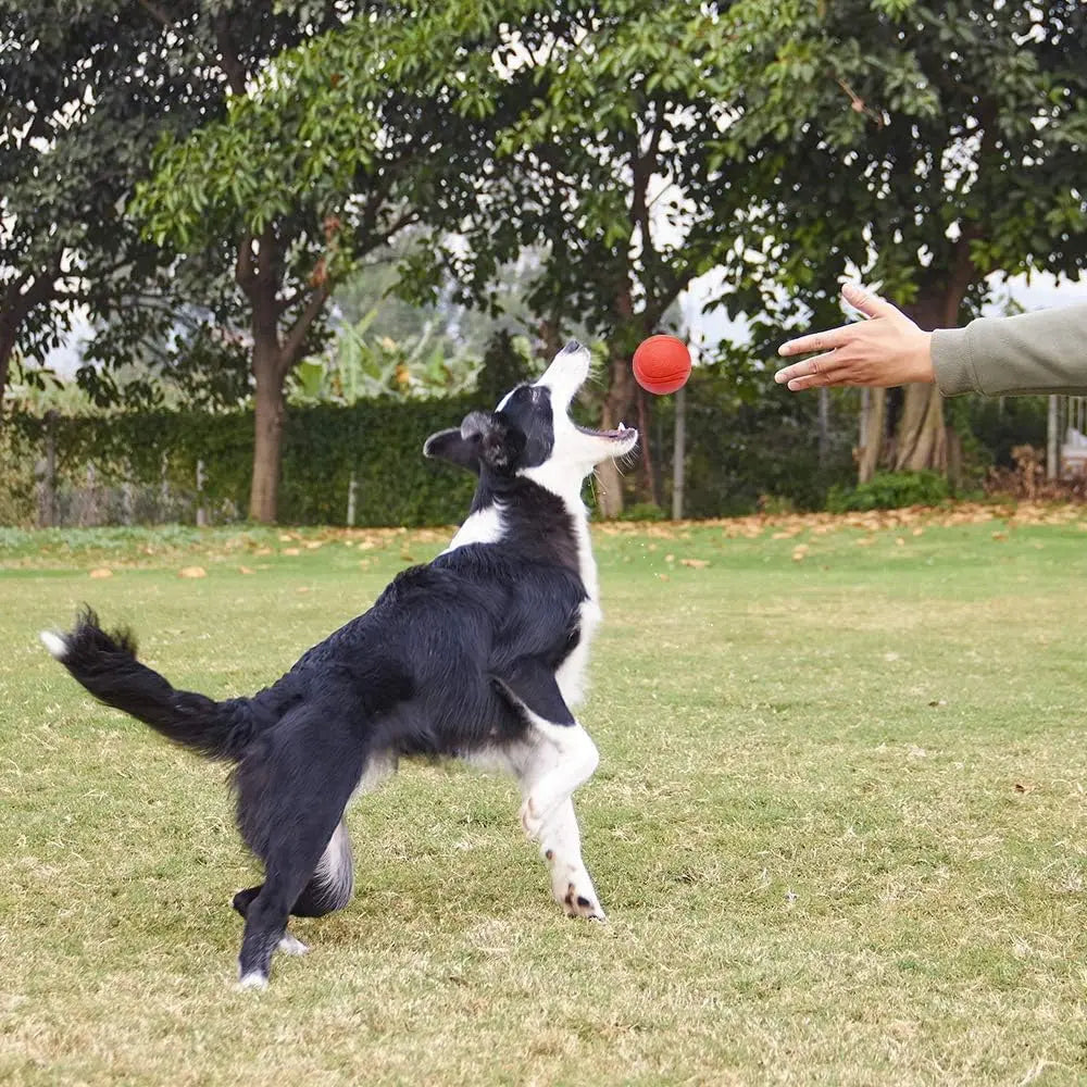 Pawfection Outdoor Mini Ball